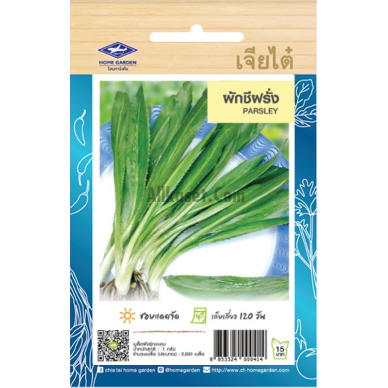 เมล็ดพันธ์ ผักชีฝรั่ง เจียไต๋