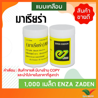 เมล็ดสลัดเรดคอรัล มาเรียร่า (Mariella) ชนิดเคลือบ 1000 เมล็ด ยี่ห้อ Enza Zaden จากประเทศเนเธอร์แลนด์ by hydroponicgroup