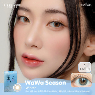 (*โค้ดส่วนลด12% ใส่โค้ด B2LOSEP) Sissè lens รุ่น WaWa Winter ❄️ คอนแทคเลนส์เกาหลีรายเดือน