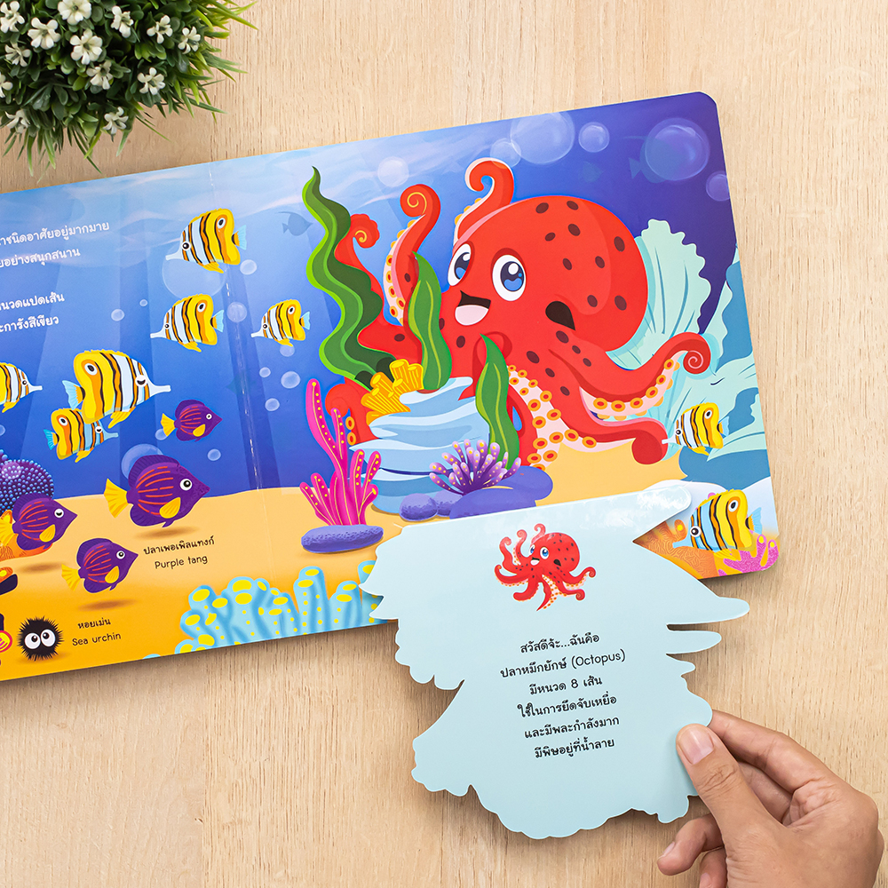 Little Heart(ลิตเติ้ลฮาร์ท)หนังสือ บอร์ดบุ๊ค ลองเปิดดูซิ! สัตว์โลกใต้ทะเล 9786164874329 - รูปที่ 5