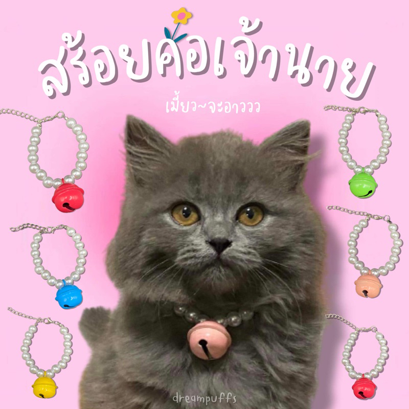ส่งด่วน ปลอกคอแมว สร้อยคอแมว หมา สัตว์เลี้ยง