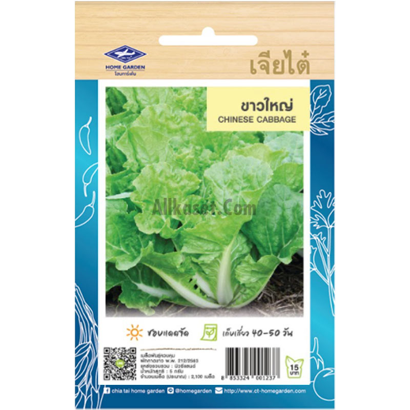 เมล็ดพันธ์ ผักกาดขาว ขาวใหญ่