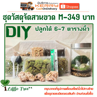 ชุดวัสดุจัดสวนขวด Terrarium ขนาดกลาง-ใหญ่ ไซต์ M-349 บาท จัดได้ 7 ตารางนิ้ว