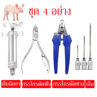 ชุด 4 อย่าง อุปกรณ์ทำคลอดหมู กรรไกรตัดเขี้ยวหมู กรรไกรตัดฟันหมู 12cm คีมตัดหางหมู สแตนเลส คมมาก