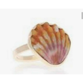 sunrise shell rings, silver