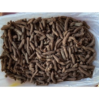 ไข่ตั๊กแตน 100กรัม แถมอุปกรณ์พร้อมฟัก ส่งฟรี มีแถมจ้า ไข่แข็งแรงฟัก100%  โตไว ขนาด 1ขีด