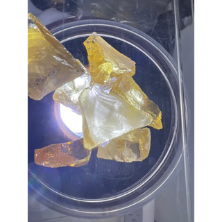 cz yellow canary 172 grammmix grade