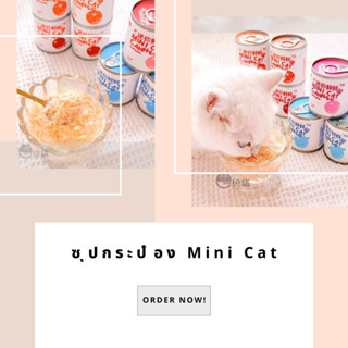 ซุปกระป๋องเสริมโภชนาการ Mini Cat