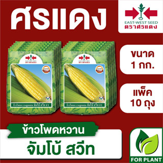 ขายส่ง เมล็ดพันธุ์ ศรแดง BIG ข้าวโพดหวาน จัมโบ้สวีท ขนาด 1 กิโลกรัม (1 กก. X 10 ถุง)