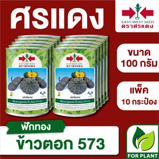 ขายส่ง เมล็ดพันธุ์ ศรแดง BIG ฟักทอง ลายข้าวตอก573 ขนาด 100 กรัม (100 กรัม X 10 กระป๋อง)