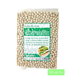 ถั่วขาวมัน ชนิดดิบ (บรรจุสูญญากาศ)(White Kidney/Navy Bean)(500 g)