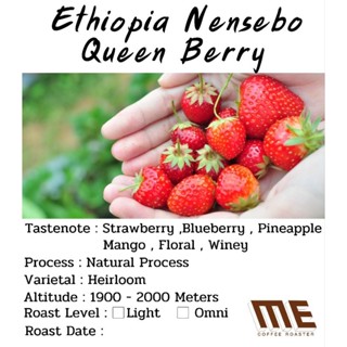 เมล็ดกาแฟ Ethiopia Nensebo Queen berry G1 Coffee Lamp Series