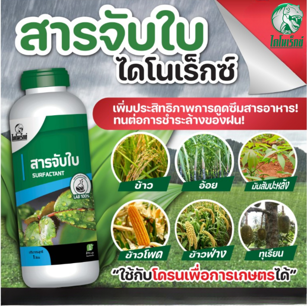 ไดโนเร็กซ์สารจับใบ  ช่วยเพิ่มประสิทธิภาพการดูดซึมปุ๋ย ยา ฮอร์โมนและธาตุอาหาร ปลอดภัย 100%