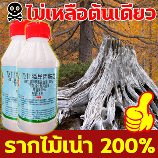 🔥รากไม้เน่า300%🔥OUMANDI 200ซีซียาฆ่าต้นไม้ ยาฆ่าต้นไม้ใหญ่ ยาฆ่าตอไม้ ยาฆ่าหญ้า ฆ่าต้นไม้ใหญ่ ฆ่าต้นไม้ ยาฆ่าไม้ยืนต้น