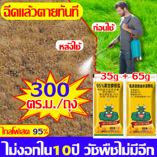 🔥ส่งในไทย🔥ยาฆ่าหญ้าออร์แกนิค สูตรOrganic ธรรมชาติ 100% ปลอดภัยไร้สารเคมี ใช้กำจัดวัชพืชทุกชนิด สารกำจัดวัชพืช