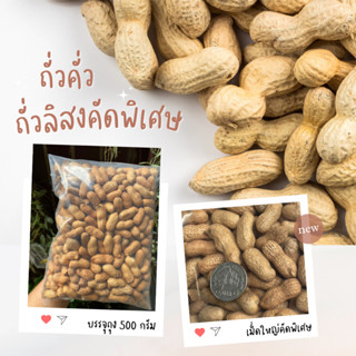 ถั่วลิสงคั่วมือ คัดพิเศษเกรดAA ขนาด 500 กรัม ถั่วสำหรับ นก หนูแฮมเตอร์ สัตว์ฟันแทะ