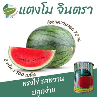 เมล็ดพันธุ์ แตงโม จินตรา (Watermelon)