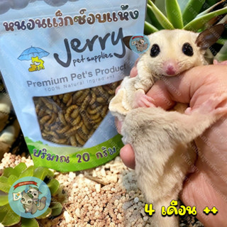 ( JERRY - WAX WORM หนอนแว็กซ์ ) หนอนแว๊กซ์ หนอนแว็กซ์อบแห้ง หนอนอบแห้ง หนอน หนอนนก หนอนนกอบแห้ง อาหาร ชูการ์ กระรอก นก