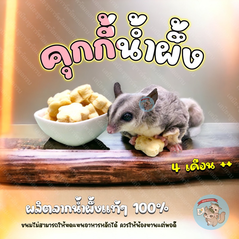 ( คุกกี้น้ำผึ้ง ) HONEY COOKIES คุกกี้ บิสกิต น้ำผึ้ง ขนม อาหาร สัตว์เลี้ยง ชูการ์ กระรอก ดอร์เมาส์ แฮมสเตอร์ บุชเบบี้