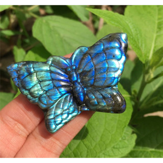 1 Pc Natural  Labradorite Butterfly, Butterfly,Crystal Carved,Mineral samples,Home Decoration,Reiki healing,Crystal