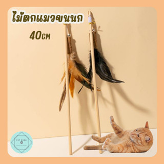 ไม้ล่อแมวขนนก ไม้ตกแมว ของเล่นเหมียว Cat Teaser Wand ขนนก