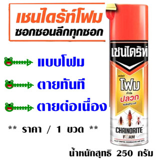 เชนไดร้ท์โฟม สเปรย์กำจัดปลวก โฟมกำจัดปลวก พาปลวกกลับไปตายรัง ยากำจัดปลวก ฉีดเข้ารัง ไม่ฟุ้งกระจาย Chaindrite 250 กรัม MK