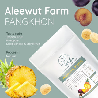 เมล็ดกาแฟคั่ว Aleewut Farm Pangkhon, Natural Process, Light Roast (200g)