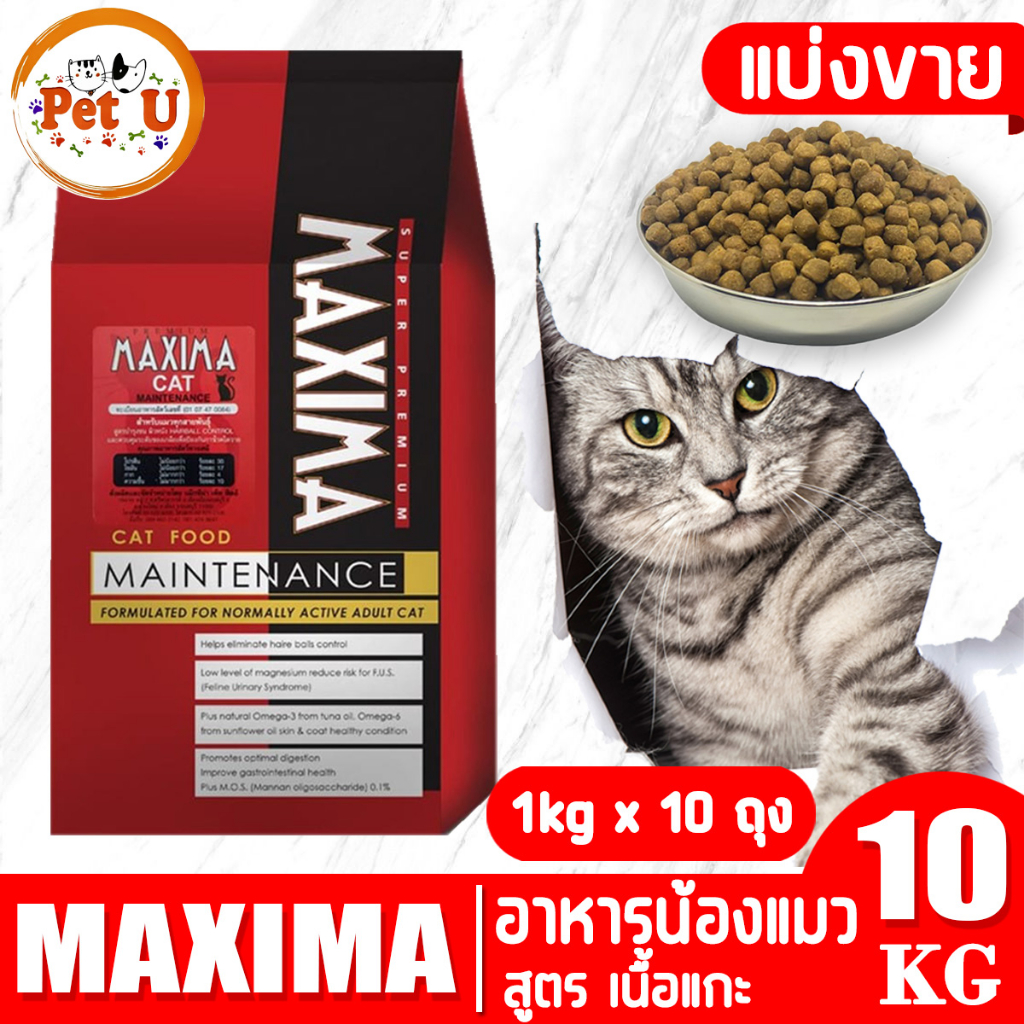 MAXIMA CAT 10kg (แบ่งขาย) อาหารเม็ด สำหรับแมวทุกสายพันธุ์ทุกช่วงวัย ถูกมาก น้องแมวชอบมาก