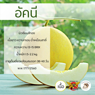 เมล็ดเมล่อนพันธุ์อัคนี 100 เมล็ด ตราพยัคฆ์ติดปีก เมล็ดพันธุ์ เมล่อนเนื้อขาวกรอบ เมล่อนผิวสีเหลือง