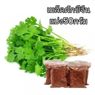 เมล็ดผักชีจีน(แบ่งขาย50กรัม) อัตราการงอก100% โตไว แข็งแรง รสชาตกรอบอร่อย