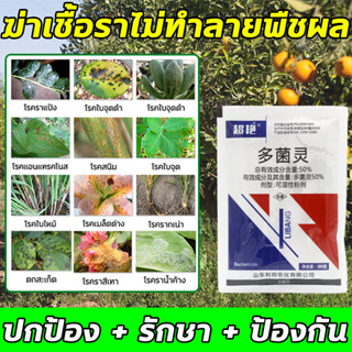 🦠โรคพืช🦠BQ คาร์เบนดาซิม ยากำจัดเชื้อรา ยากันเชื้อรา  80g สารออกฤทธิ์ 50% ให้ผลในทางป้องกันและรักษาโรคพืช  คาเบนดาซิม