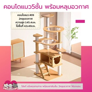 คอนโดแมว 5ชั้น พร้อม2หลุมอวกาศ 1ห้องนอน เสาลับเล็บ