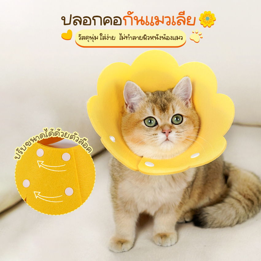 Systano (ส่งจากไทย) ปลอกคอแมว คอลล่าแมว ปลอกคอกันเลีย No.Y1741