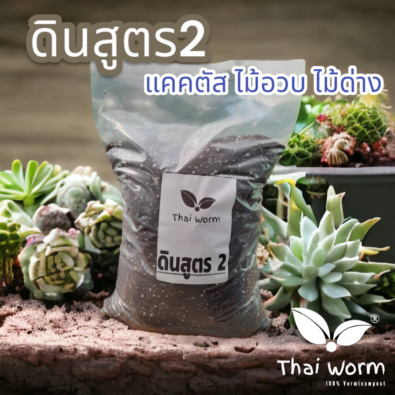 ดินสูตร2 สูตรโปร่งพิเศษ 5 กก.  สำหรับ แคคตัส ไม้ด่าง ไม้ฟอกอากาศ  ไม้อวบน้ำ ไม้มงคลต่างๆ  ดินปลูก