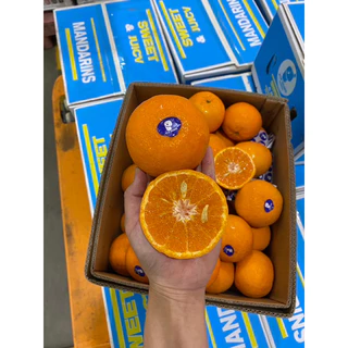 พร้อมส่ง‼️(1KG) ส้มแมนดาริน ออสเตเลีย🇦🇺