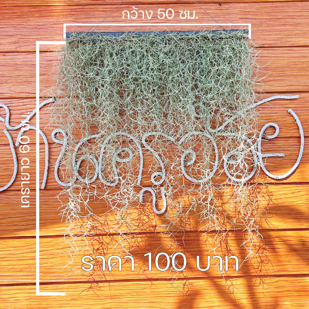 ม่านเคราฤาษี เคราฤาษี ม่านกรองฝุ่น ม่านกันแสงแดด คิ้วกระเบื้องยาว 50 เซน + เคราฤาษียาว 60 เซน