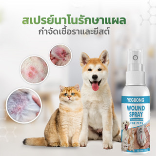 Gager (กาเจอร์) Nano Silver Spray สเปรย์นาโนแมว สเปรย์นาโนหมา เชื้อราผิวหนัง เลียได้ แผลติดเชื้อ อักเสบ