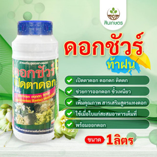 ดอกชัวร์ ท้าฝน ติดดอก ดอกดก เปิดตาดอก ขนาด1ลิตร