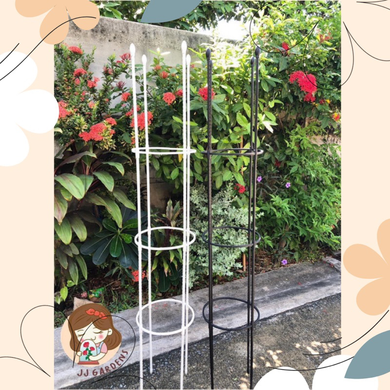 ซุ้มกุหลาบ ซุ้มไม้เลื้อย แบบตรง 1 กล่องได้ 2 ชุด สินค้าพร้อมส่งจากไทย