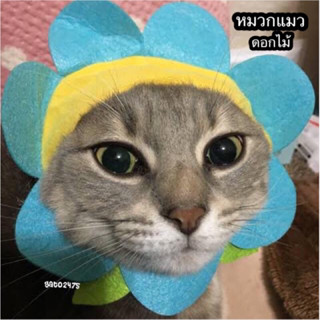 Cat Headgear หมวกแมว๏มีสีฟ้า-มีสินค้าพร้อมส่ง