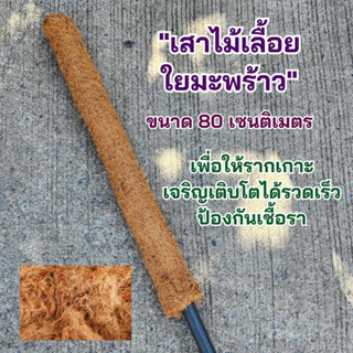 เสาไม้เลื้อย เสาใยมะพร้าว ขนาด 80 ซม. หลักไม้เลื้อย ใยมะพร้าว เสาใยมะพร้าว หลักใยมะพร้าว หลักต้นไม้ ไม้เลื้อยใยมะพร้าว