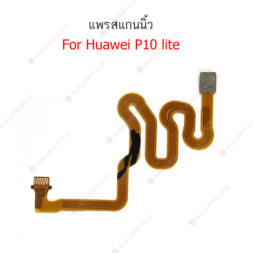 สแกนนิ้ว huawei P10lite แพรต่อสแกนนิ้ว huawei huawei P10lite สายแพรสแกนนิ้ว huawei P10lite