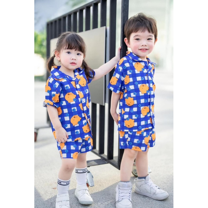 เชิ้ต The Land of Vava