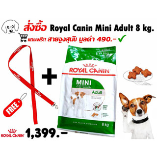 Royal Canin - Mini Adult อาหารสุนัขแบบเม็ด  สำหรับสุนัขโตพันธุ์เล็ก (ขนาด 8 kg.)