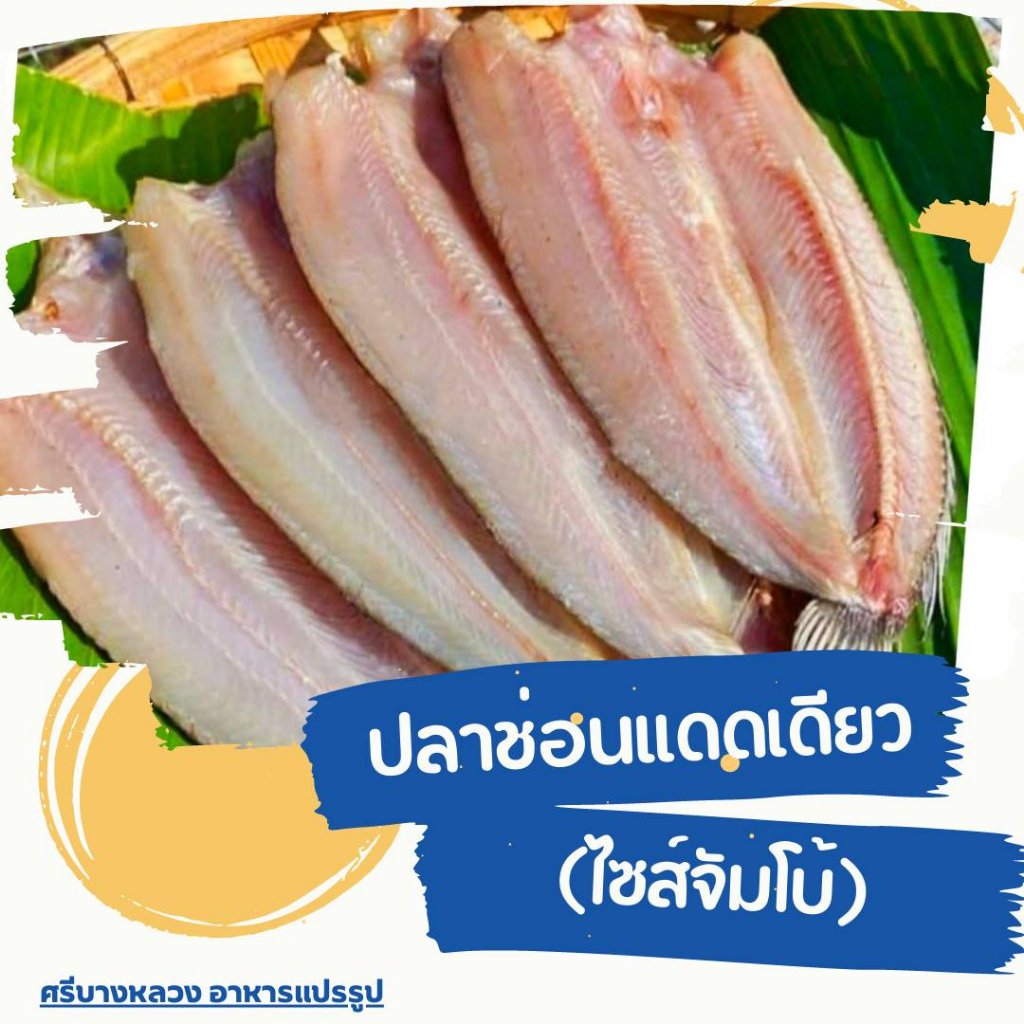 ปลาช่อนแดดเดียว ปลาช่อนผ่าหลัง ออร์แกนิก เป็นธรรมชาติ แพ็ค