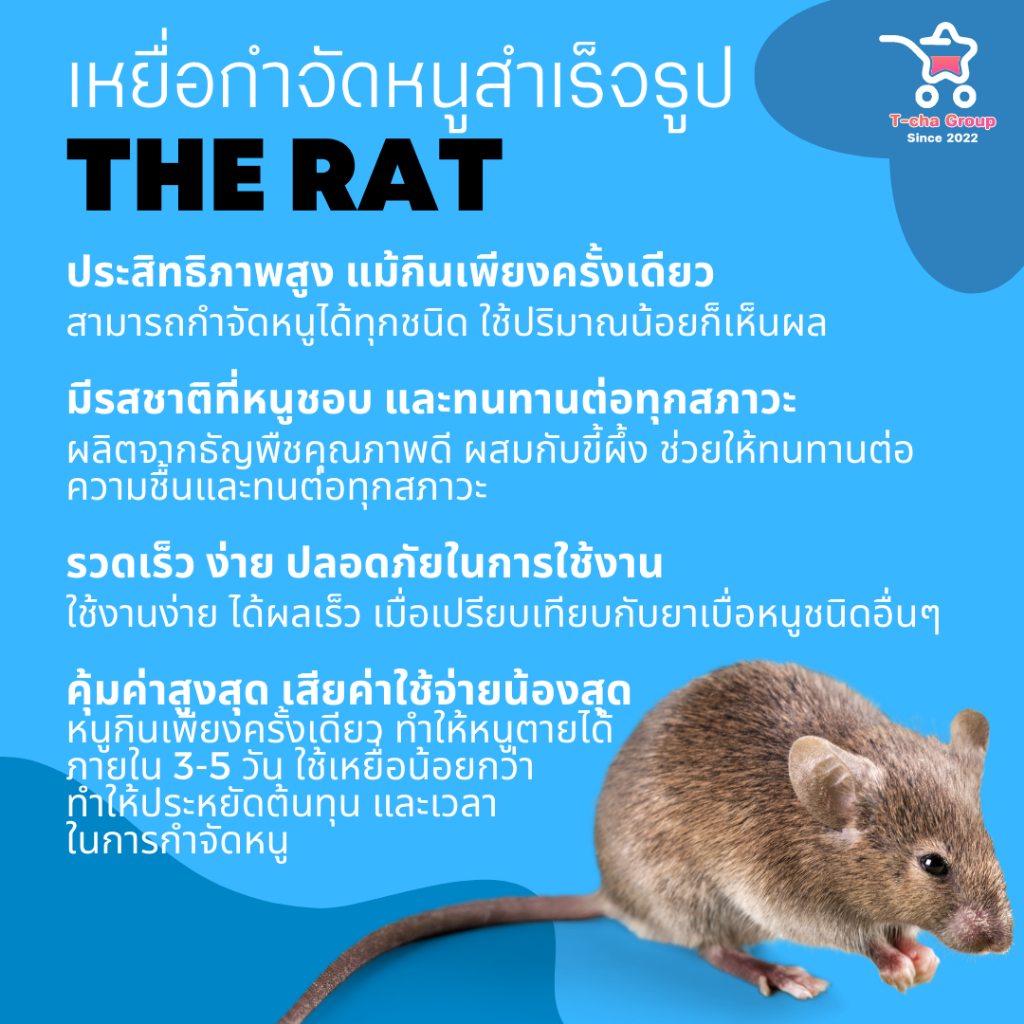 (1 แถม 2) ได้ 3 กระปุก The Rat เหยื่อกำจัดหนูสำเร็จรูป สูตรตายแห้ง หนูตายไม่ส่งกลิ่นเหม็นเน่า ราคา ถูกที่สุด ดีลบีเคเค แกลเลอรีภาพที่ 4