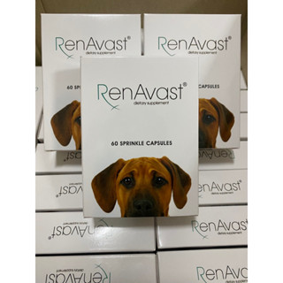 Renavast Dog EXP 03/2025 ผลิตภัณฑ์เสริมอาหารสำหรับสุนัขที่มีปัญหาโรคไต