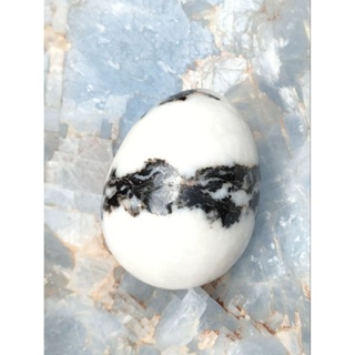 🦓 ซีบร้า เเจสเปอร์ สีขาวดำทรงไข่ น่ารัก ๆ 🌿( Zebra Jasper Egg )