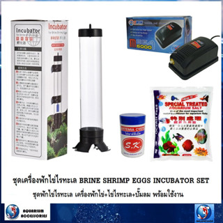 ชุดเครื่องฟักไข่ไรทะเล BRINE SHRIMP EGGS INCUBATOR SET(ชุดฟักไข่ไรทะเล เครื่องฟักไข่+ไข่ไรทะเล+ปั๊มลม พร้อมใช้งาน)