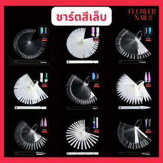 ชาร์ตสีเล็บ เล็บปลอม ชาร์ทโชว์สีเล็บ เล็บ ชาร์จเล็บ ชาร์ตสีเล็บเจล ทำเล็บ เล็บปลอมสำเร็จรูป เล็บปลอมpvc สีทาเล็บ อุปกรณ์